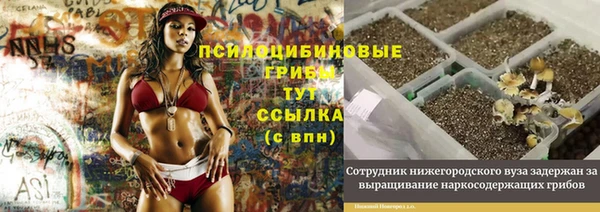 ALPHA PVP Абаза